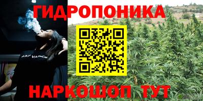мяу мяу мука Можайск