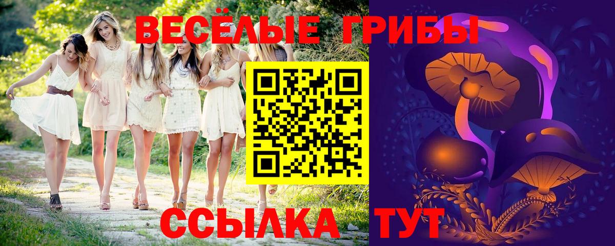 Псилоцибиновые грибы GOLDEN TEACHER Удомля