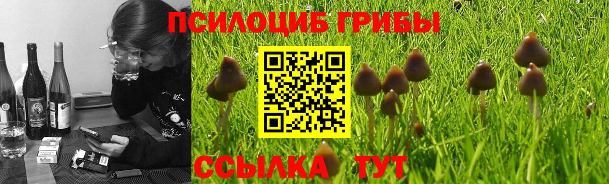 Галлюциногенные грибы прущие грибы  Вход с VPN  Удомля 